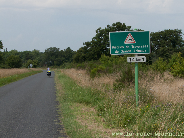 rando vélo 2014